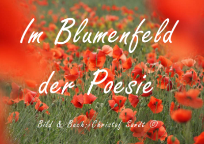 Im Blumenfeld der Poesie 4.6 - Die Natur (Titelseite)